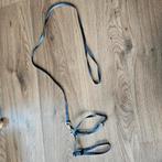 Twee kattentuigjes en kattenspeelgoed, Ophalen