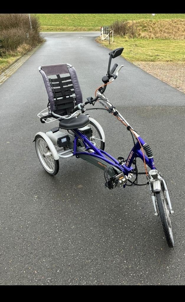 Van Raam Easy Rider driewieler - deelbaar, 2 accu's, Ophalen of Verzenden, Gebruikt, Van Raam