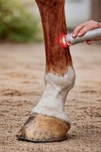 Lasertherapie Paard (HPLT) | Paardenfysiotherapie