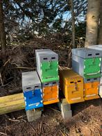 Langstroth eps 6-raams bijenkasten + voerbak prijs per stuk, Bijen