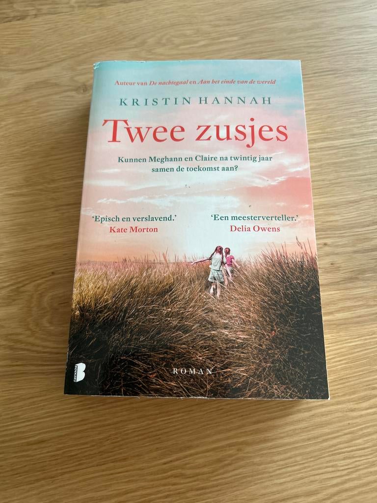 Twee Zusjes - Kristin Hannah (Roman), Ophalen of Verzenden, Zo goed als nieuw, Nederland
