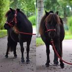 Verzorger gezocht!!, Ophalen of Verzenden, Nieuw