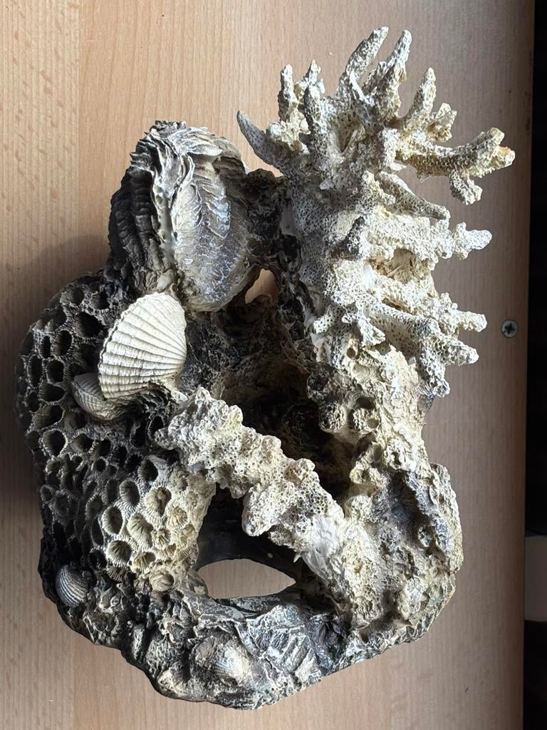 BiOrb koraal en schepen ornament, Ophalen of Verzenden, Gebruikt, Decoratie, Overige merken