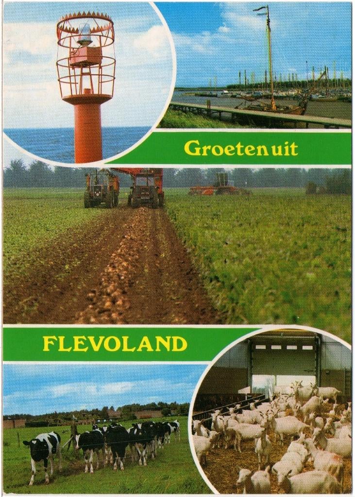 Flevoland  Groeten uit, Ophalen of Verzenden, Ongelopen, Flevoland