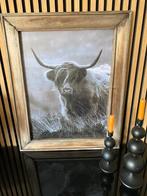 Hooglander schilderij, Ophalen