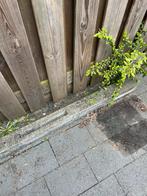 Te koop betonnen schutting paal., Ophalen of Verzenden, Zo goed als nieuw, Palen