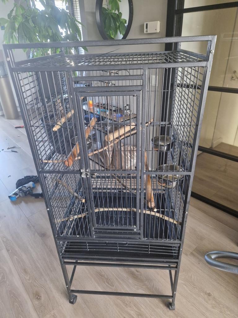 Papegaaien kooi, vogelkooi, compleet. 60x56x140, Meerdere dieren, Parkiet