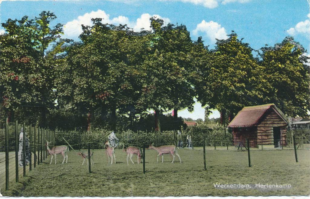 9789 Werkendam, Hertenkamp Bromo-Color, Ophalen of Verzenden, 1940 tot 1960, Noord-Brabant