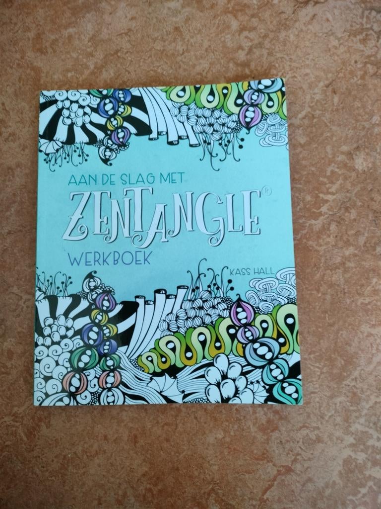 Kass Hall - Werkboek, Zentangle, Boeken, Kass Hall, Ophalen of Verzenden, Zo goed als nieuw, Tekenen en Schilderen
