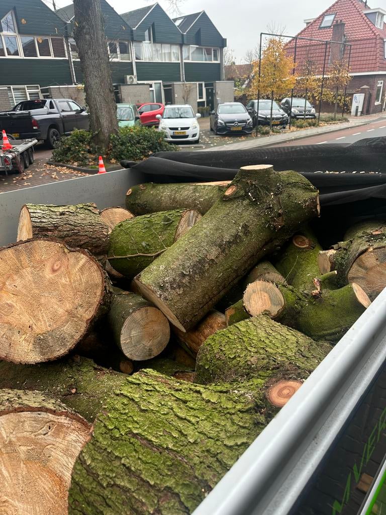 Brandhout, naaldhout. 50.- per kuub, 6 m³ of meer, Verzenden, Overige houtsoorten, Blokken