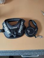 Harnas je met flex lijn voor kleine hond, Ophalen of Verzenden