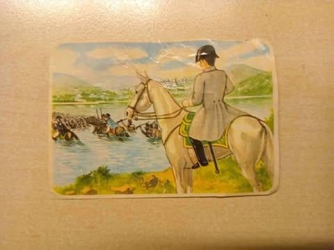 plaatjes Boersma's en Kahlers thee Napoleon, leeuw,tijgers, Verzenden, Gelezen