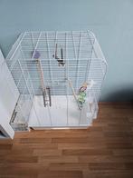 Vogelkooi met toebehoren, Dieren en Toebehoren, Vogels | Hokken en Kooien, Ophalen, Zo goed als nieuw, Vogelkooi