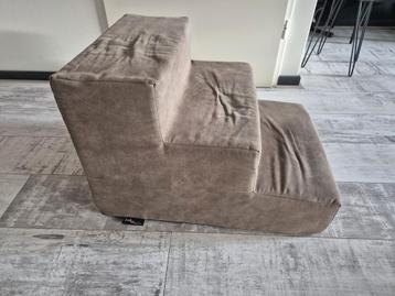 Hondentrapje Jack & Vanilla–Medium(60 cm lengte)–stijlvol beschikbaar voor biedingen