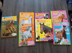 Penny zomerboeken, Ophalen of Verzenden, Zo goed als nieuw, Paarden of Pony's