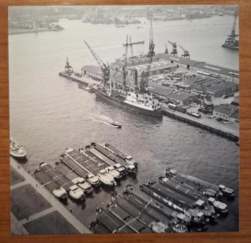 Foto Parkhaven Rotterdam vanaf Euromast 1963 beschikbaar voor biedingen