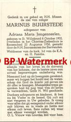 Buurstede Marinus 1902 St Willebrord 1956 Roosendaal x Jonge, Verzamelen, Bidprentjes en Rouwkaarten, Bidprentje, Ophalen of Verzenden