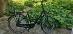 Trenergy Touring, Fietsen en Brommers, Elektrische fietsen, Ophalen, Gebruikt, 50 km per accu of meer, Overige merken