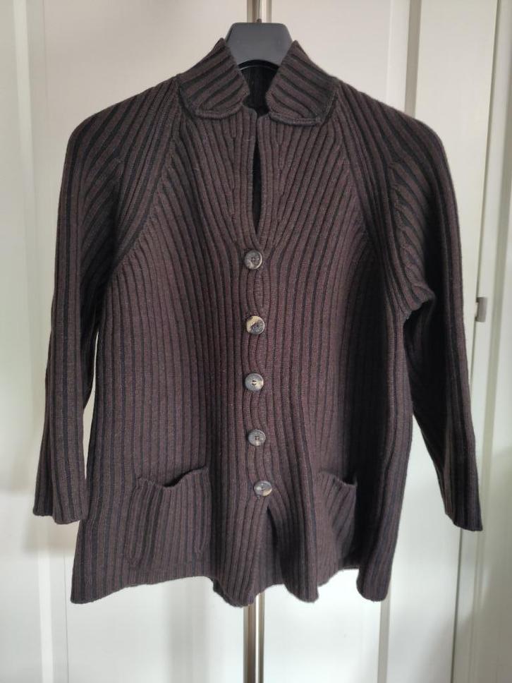 Iris von Arnim vestjasje Cashmere/wol/zijde bruin, Kleding | Dames, Truien en Vesten, Gedragen, Maat 38/40 (M), Bruin, Ophalen of Verzenden