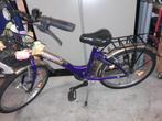Meisjesfiets, Ophalen of Verzenden, Zo goed als nieuw, 20 inch