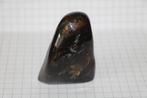 Amber, Ophalen of Verzenden, Fossiel