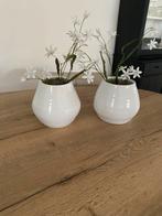 2 mooie TS collection potten, Rond, Binnen, Ophalen of Verzenden, Zo goed als nieuw