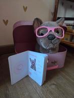 Hondje in koffertje studio pets, Ophalen