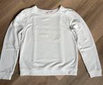Esqualo trui maat XS, Wit, Esqualo, Ophalen of Verzenden, Maat 34 (XS) of kleiner