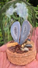 Mini Agate Garden, Ophalen of Verzenden, Mineraal