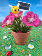 Speelrijst Themaset: Lente Ontdekkingsrijst, Ophalen of Verzenden, Nieuw, Ontdekken