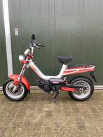 Tomos youngster 2007, Ophalen, Zo goed als nieuw