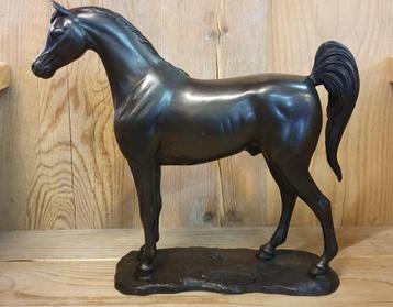 ARABISCH PAARD / ARABIER / HENGST / PAARD / PONY beschikbaar voor biedingen