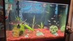 Aquarium 30 Liter kompleet, Dieren en Toebehoren, Ophalen, Zo goed als nieuw, Leeg aquarium