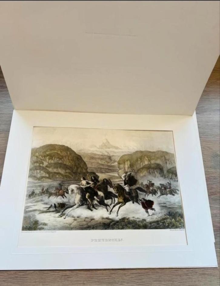 Eduard Friedrich Poeppig - Twee prints in beperkte oplage, Antiek en Kunst, Kunst | Litho's en Zeefdrukken, Ophalen of Verzenden