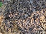Paardenmest gratis ophalen., Tuin en Terras, Ophalen