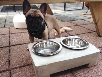 Strakke dubbele drinkbak, voerbak hond, kat of mini varken. beschikbaar voor biedingen