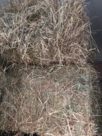 Hooi in kleine balen, 2e snede goed verteerbaar, Dieren en Toebehoren, Dierenvoeding, Ophalen, Vee