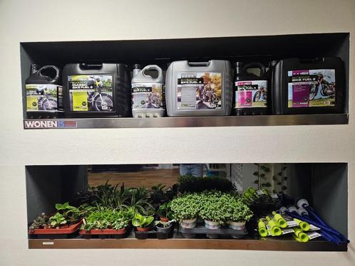 Terrarium planten, Dieren en Toebehoren, Reptielen en Amfibieën | Toebehoren, Nieuw, Tak, Plant, Rots of Steen, Ophalen