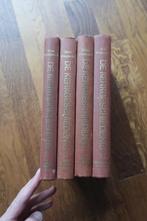 kerkgeschiedenis Vreugenhil, Boeken, Ophalen of Verzenden, Gelezen, Christendom | Protestants