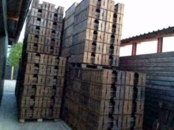 Fruitkisten , Groentekisten , Veilingkisten hout MEGA PARTIJ beschikbaar voor biedingen