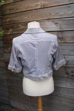 Jasje grijs Tredy mt 38 Vaste prijs, Maat 38/40 (M), Tredy, Ophalen of Verzenden, Zo goed als nieuw