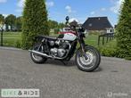 Triumph Bonneville T120 Bud Ekins, Motoren, Motoren | Triumph, Chopper, Bedrijf, Meer dan 35 kW, 1200 cc