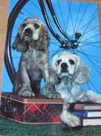 Twee honden met boeken - blik en fietswiel, Verzamelen, Verzenden, 1960 tot 1980, Gelopen, Hond of Kat