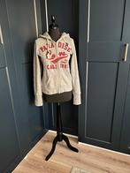 Grijze damesvest met capuchon, Ophalen of Verzenden, Zo goed als nieuw, Maat 38/40 (M), Grijs