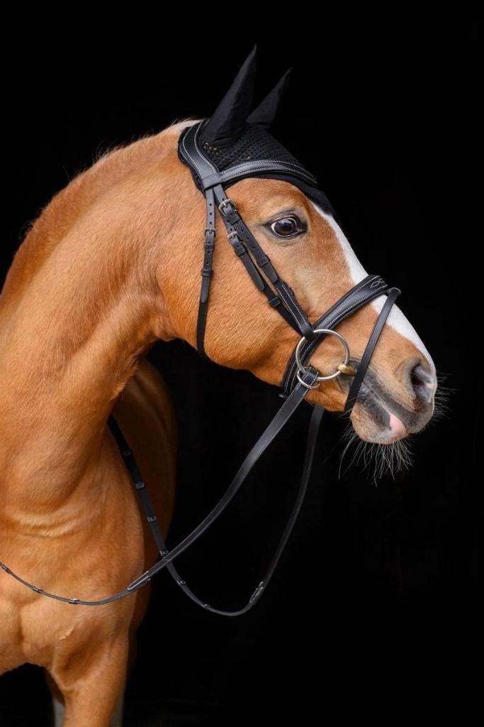 Passier No Limits Hoofdstel met lichte stiksels, maat Full, Dieren en Toebehoren, Paarden en Pony's | Hoofdstellen en Tuigage