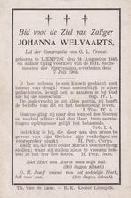 Welvaarts Johanna 1845 Liempde 1904, Verzamelen, Ophalen of Verzenden, Bidprentje