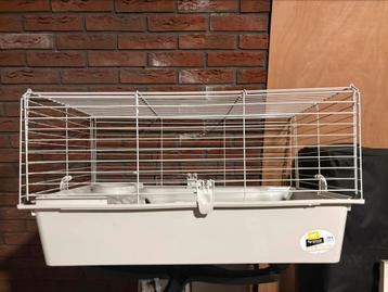 Cavia / konijn hok beschikbaar voor biedingen