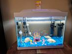 Super fish aquarium start 20, Ophalen of Verzenden, Zo goed als nieuw, Leeg aquarium