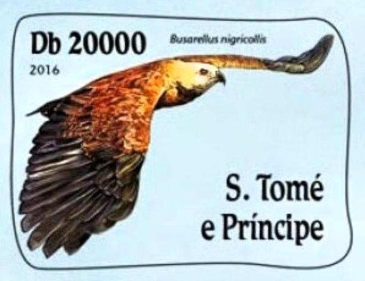 2016 Aanbieding Sao Tomé Fauna Roofvogels Arend Valken, Postzegels en Munten, Postzegels | Thematische zegels, Postfris, Dier of Natuur