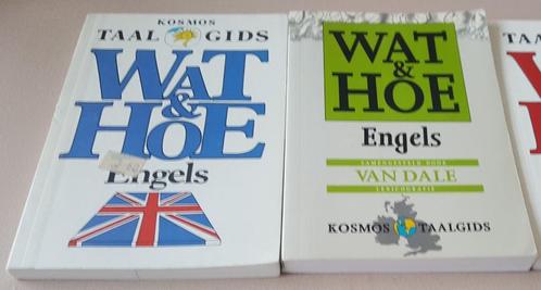 Kosmos taalgidsjes - twee versies voor Engels op reis boekje, Boeken, Reisgidsen, Gelezen, Taalgids, Europa, Overige merken, Ophalen